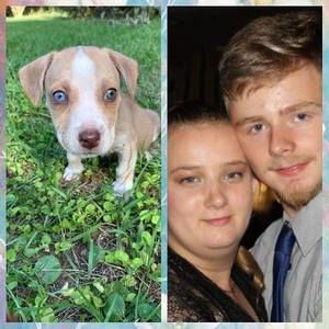 Meet your Posher, Johnathan